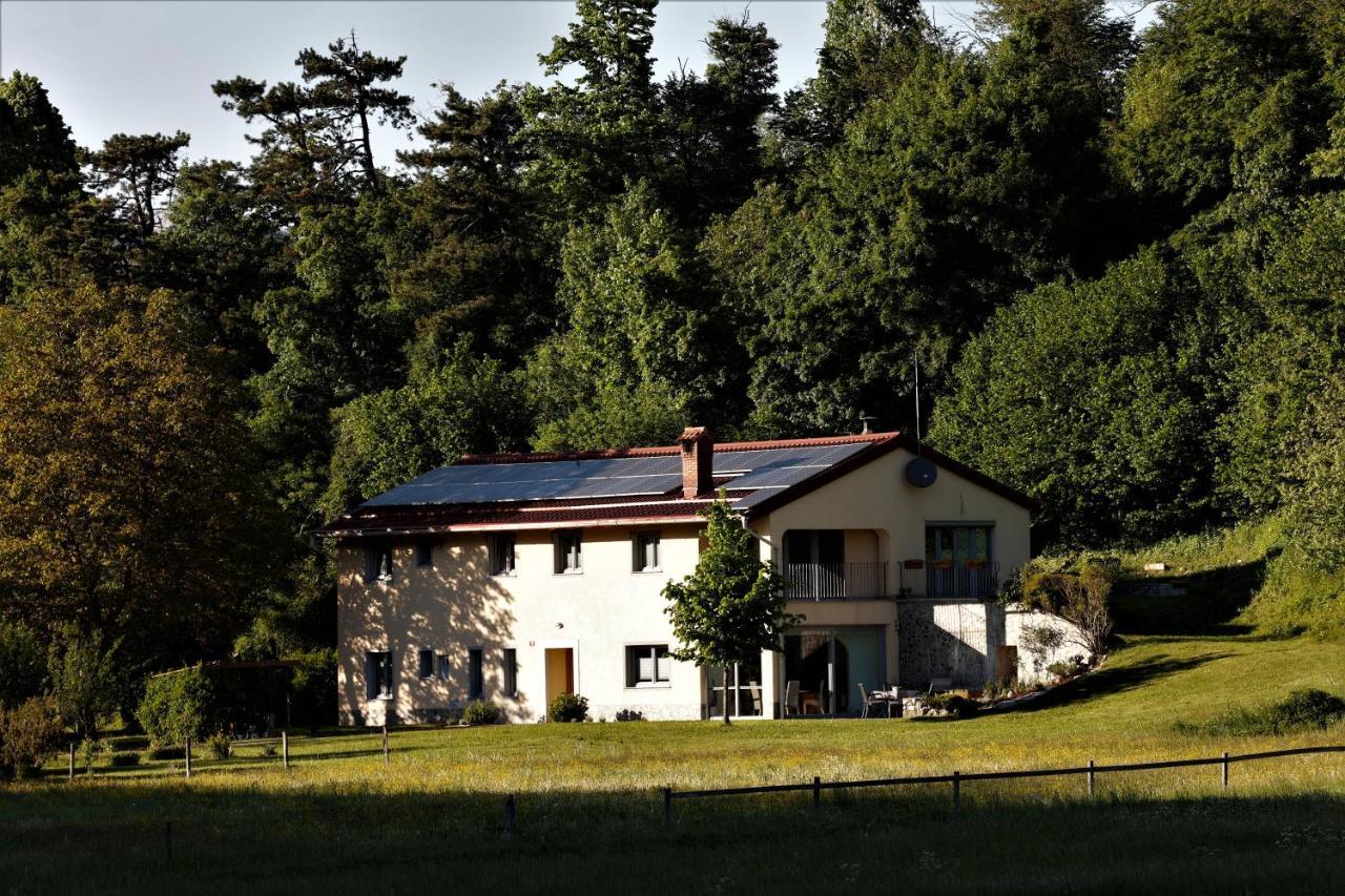 Guesthouse Idila Pod Nanosom Senozece Buitenkant foto