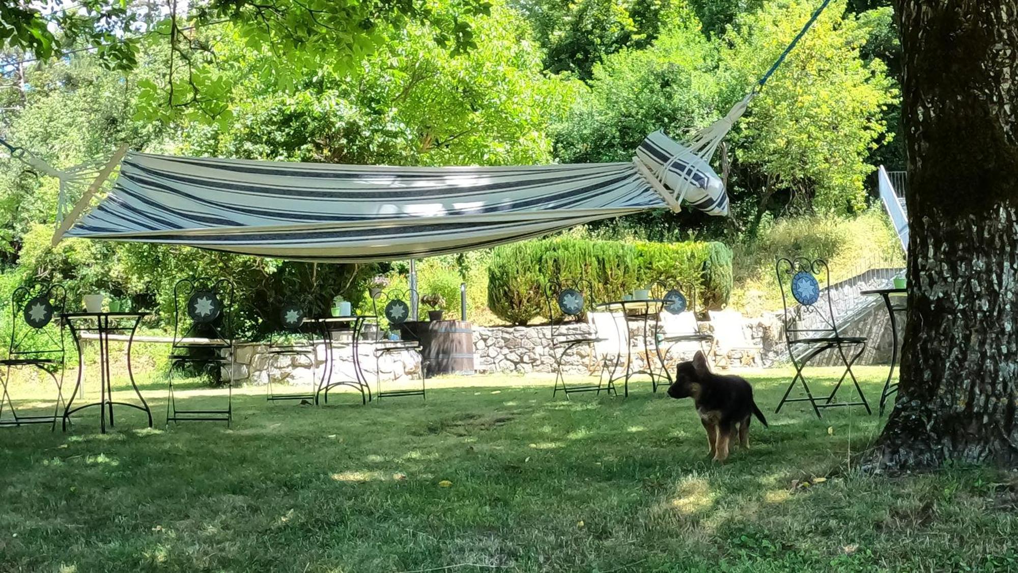 Guesthouse Idila Pod Nanosom Senozece Buitenkant foto