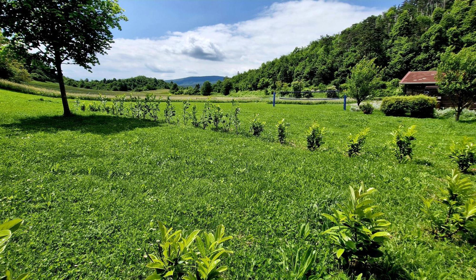 Guesthouse Idila Pod Nanosom Senozece Buitenkant foto